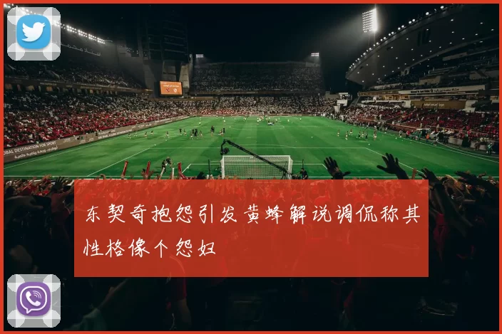 东契奇抱怨引发黄蜂解说调侃称其性格像个怨妇